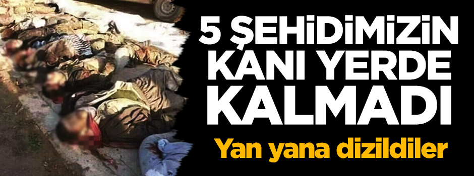 5 şehidimizin kanı yerde kalmadı! Anında hesabı soruldu
