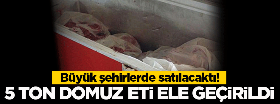 5 ton kaçak domuz eti ele geçirildi