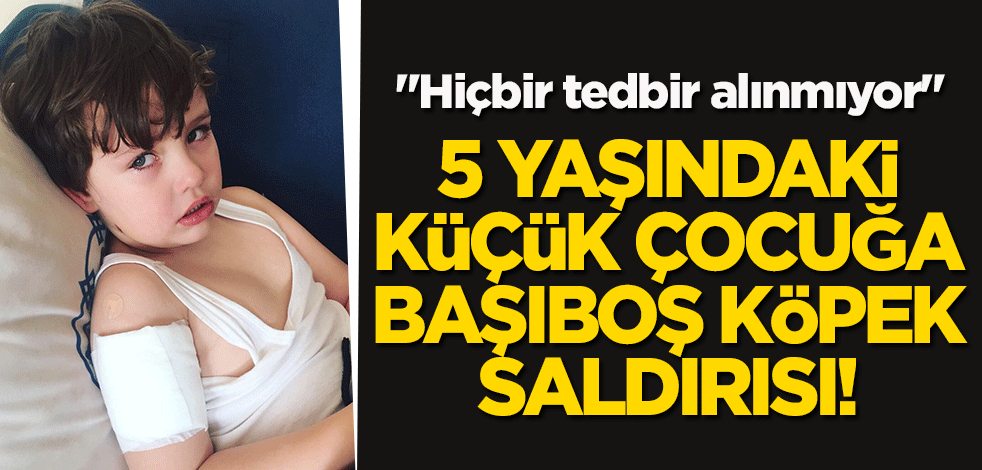 5 yaşındaki küçük çocuğa başıboş köpek saldırısı! "Hiçbir tedbir alınmıyor"
