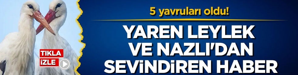 5 yavruları oldu! Yaren Leylek ve Nazlı'dan sevindiren haber