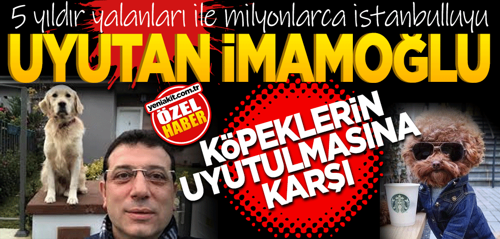 5 yıldır milyonlarca İstanbulluyu uyutan İmamoğlu sahipsiz köpeklerin uyutulmasına karşı