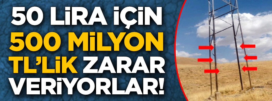 50 lira için 500 milyon TL'lik zarar veriyorlar!