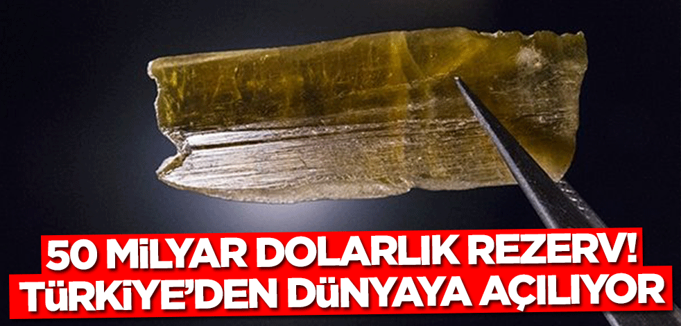 50 milyar dolarlık rezerv! Dünya Türkiye'nin peşine düştü