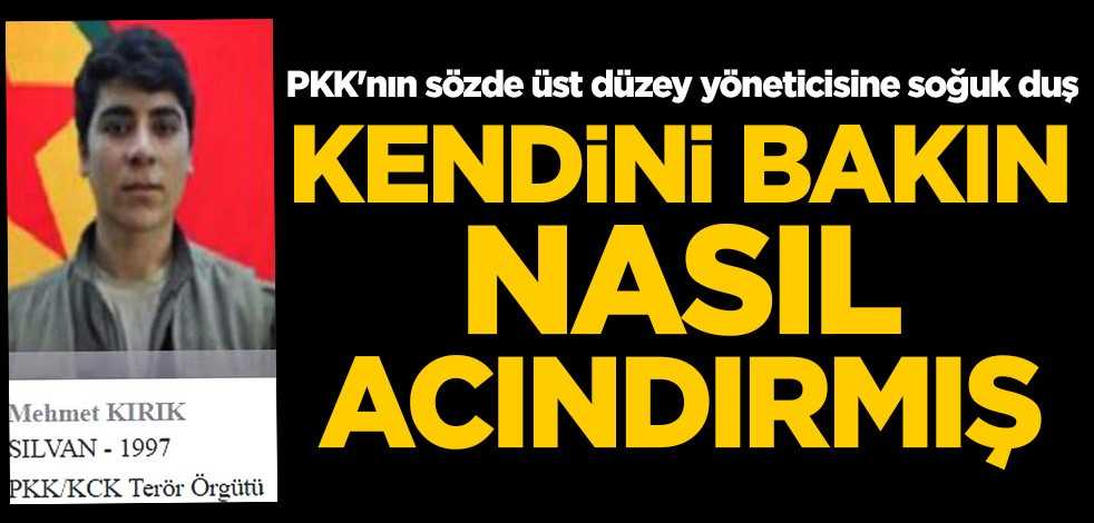 500 bin lira ödülle aranıyordu! PKK'nın sözde üst düzey yöneticisine soğuk duş