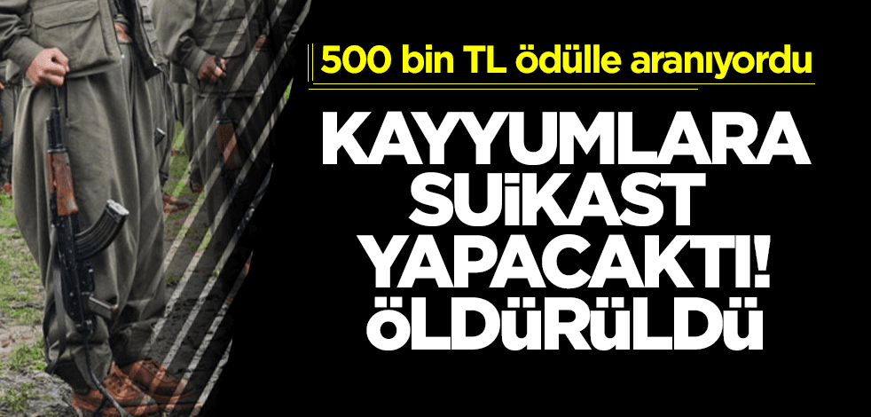 500 bin TL ödülle aranıyordu! Kayyumlara suikast için Kandil’den gelen o terörist öldürüldü