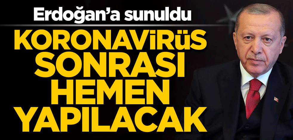 500 sayfalık rapor Erdoğan'a sunuldu! Salgın sonrası hemen yapılacak