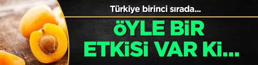 5000 yıllık kuru kayısı: Türkiye’nin kayısıdaki gücü dudak uçuklatıyor