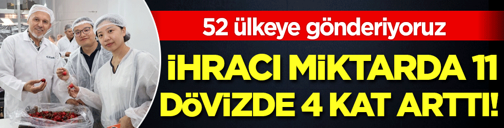 52 ülkeye gönderiyoruz: Kiraz ihracı miktarda 11, dövizde 4 kat arttı!