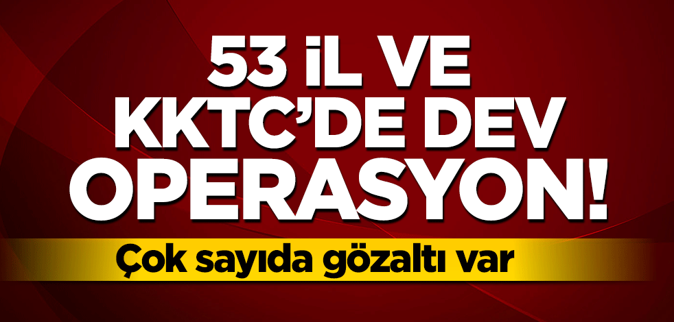 53 ilde düğmeye basıldı! 184 şüpheli hakkında gözaltı kararı