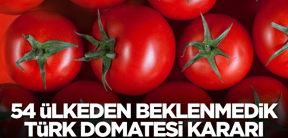 54 ülkeden beklenmedik Türk domatesi kararı! Listede yok yok, Katar, Bulgaristan, Fransa, İngiltere...