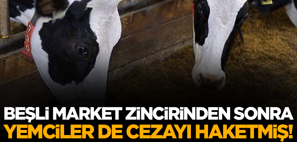 5'li market zincirinden sonra yemcilere de ceza gelebilir