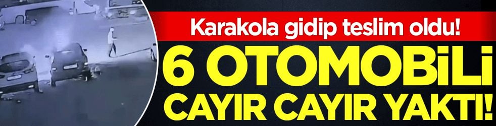 6 aracı cayır cayır yaktı! Karakola girip teslim oldu!