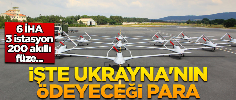 6 İHA, 3 istasyon, 200 akıllı füze... İşte Ukrayna'nın ödeyeceği para