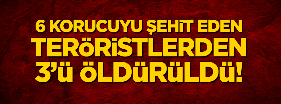 6 korucuyu şehit eden teröristlerden 3'ü öldürüldü!