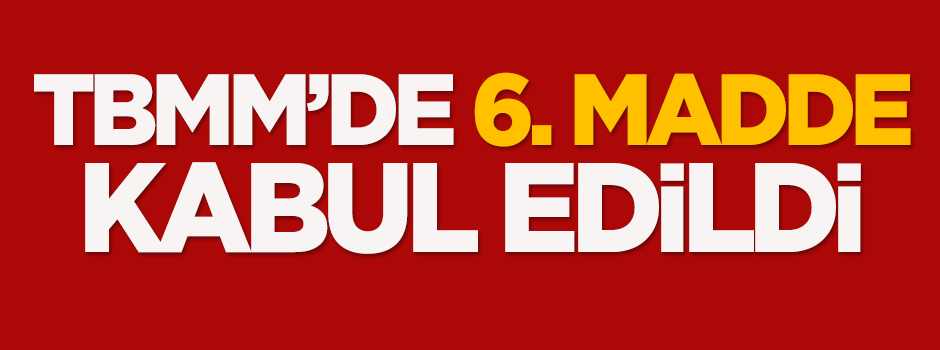 6. madde kabul edildi
