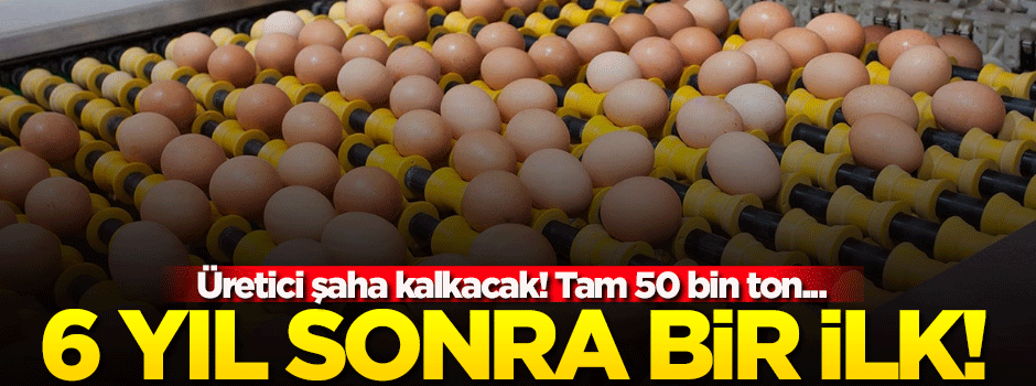 6 yıl sonra bir ilk! Üretici şahlanacak...