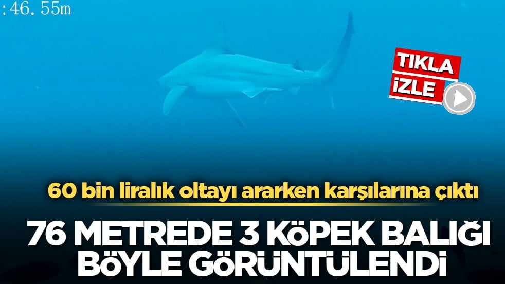 60 bin liralık oltayı ararken karşılarına çıktı! 76 metrede 3 köpek balığı böyle görüntülendi