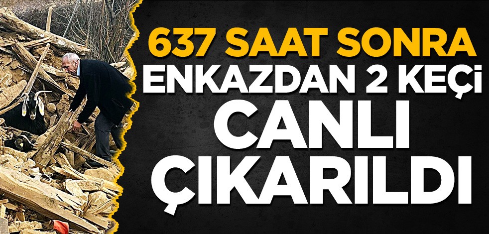 637 saat sonra enkazdan 2 keçi canlı çıkarıldı