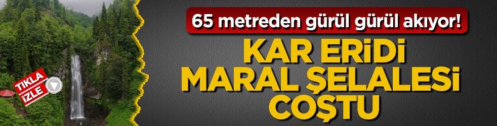 65 metreden gürül gürül akıyor! Kar eridi, Maral Şelalesi coştu