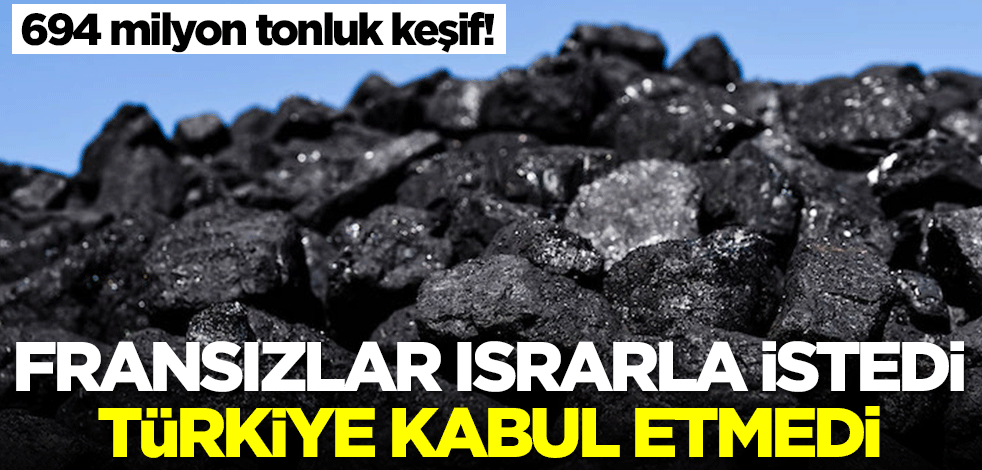 694 milyon tonluk keşif! Fransızlar ısrarla istedi, Türkiye kabul etmedi