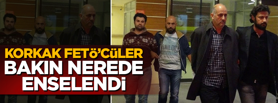 7 firari FETÖ'cü TIR dorsesinde enselendi
