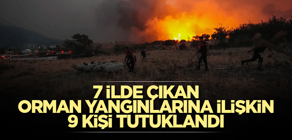 7 ilde çıkan orman yangınlarına ilişkin 9 kişi tutuklandı