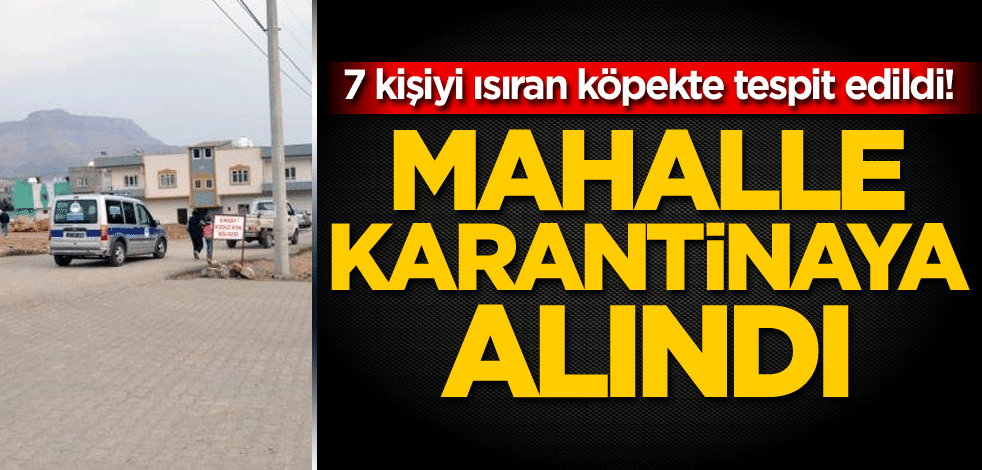 7 kişiyi ısıran köpekte tespit edildi! Mahalle karantinaya alındı