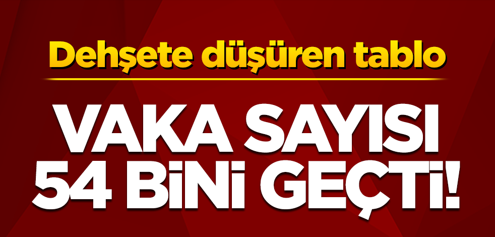 7 Nisan koronavirüs tablosu belli oldu! Vaka sayısı 54 bin 740'a yükseldi