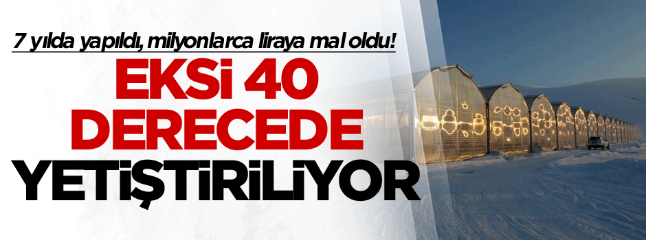 Çaldıran'da 7 yılda yapıldı, milyonlarca liraya mal oldu! Eksi 40 derecede yetiştiriliyor…