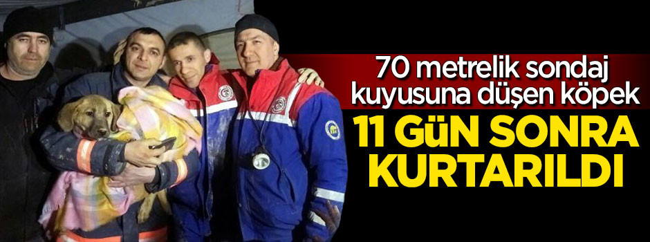 70 metrelik kuyuya düşen köpek 11 gün sonra çıkarıldı