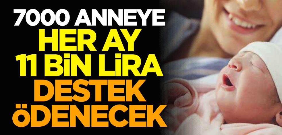 7000 anneye her ay 11 bin lira destek ödenecek