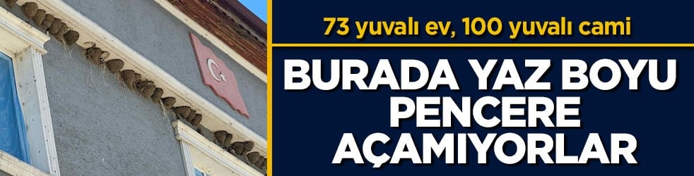 73 yuvalı ev, 100 yuvalı cami! Burada yaz boyu pencere açamıyorlar