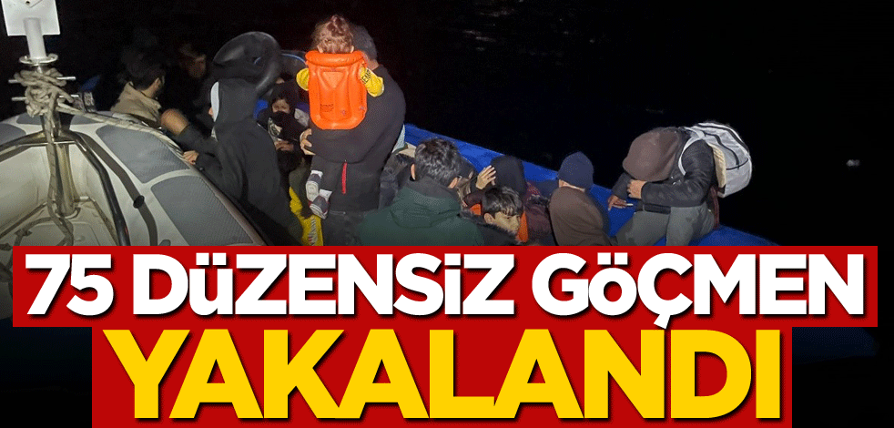 75 düzensiz göçmen yakalandı