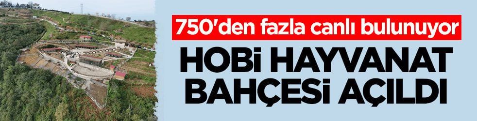 750'den fazla canlı bulunuyor! Rize’de Hobi Hayvanat Bahçesi açıldı