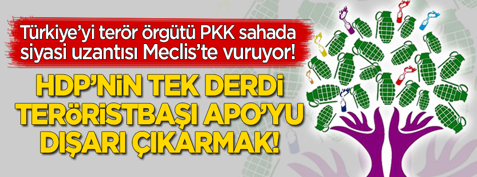 8 asker şehit verdiğimiz şu günlerde HDP'nin derdi teröristbaşı Apo!