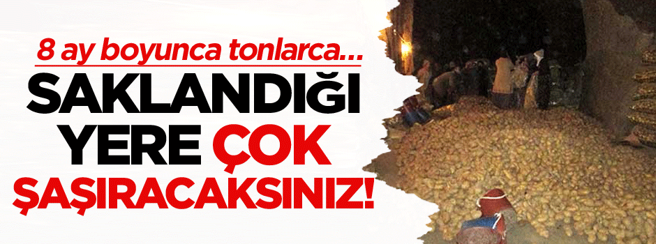 8 ay boyunca ve tonlarca… Saklandığı yere çok şaşıracaksınız!