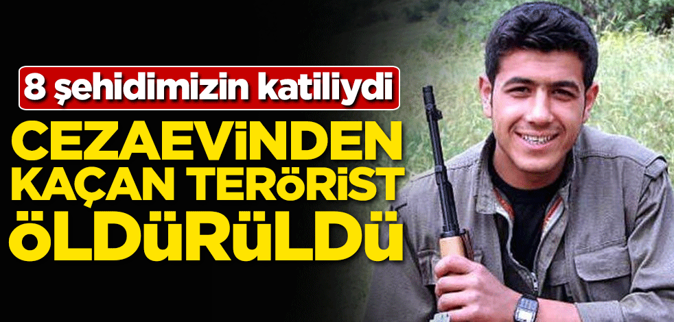 8 şehidimizin katiliydi! Cezaevinden kaçan terörist öldürüldü