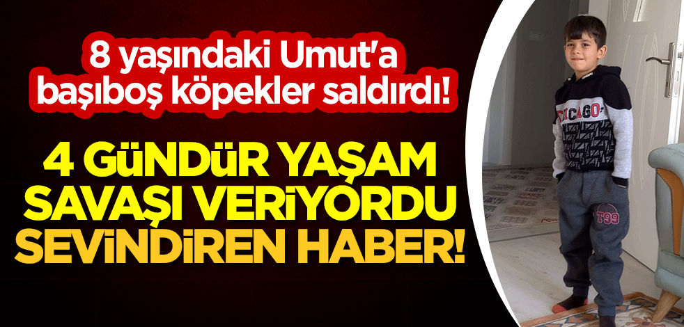 8 yaşındaki Umut'a başıboş köpekler saldırdı! 4 gündür yaşam savaşı veriyordu, sevindiren haber