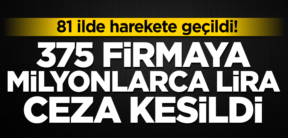 81 ilde harekete geçildi! 375 firmaya milyonlarca lira ceza