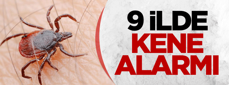 9 ilde kene alarmı