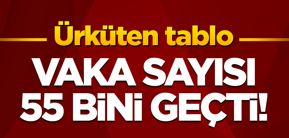 9 Nisan koronavirüs tablosu belli oldu! Vaka sayısı 55 bini geçti!