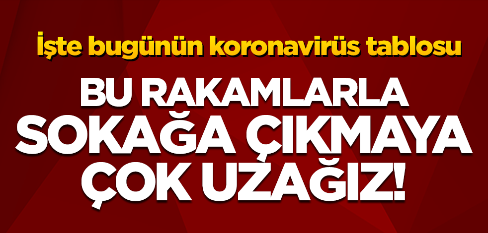 9 Şubat koronavirüs tablosu belli oldu! Vaka sayısında artış var