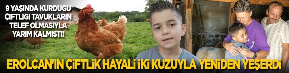 9 yaşında kurduğu çiftliği tavukların telef olmasıyla yarım kalmıştı! Erolcan'ın çiftlik hayali iki kuzuyla yeniden yeşerdi