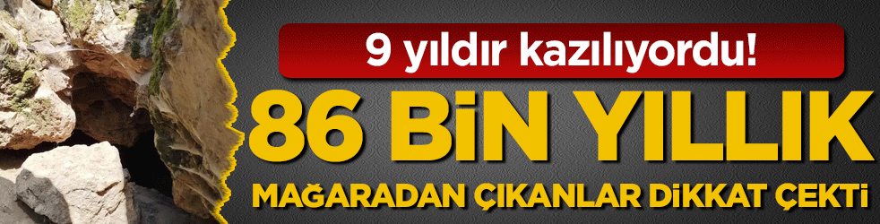 9 yıldır kazılıyordu! 86 bin yıllık mağaradan çıkanlar dikkat çekti!