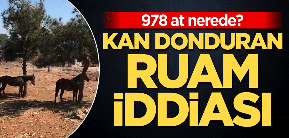 978 at nerede? Kan donduran Ruam iddiası