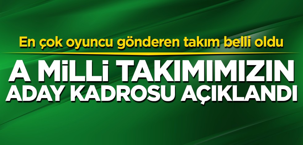 A Milli Takımımızın aday kadrosu açıklandı! En çok oyuncu gönderen Başakşehir oldu