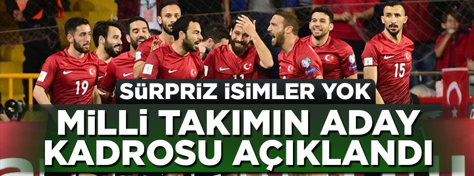 A Milli Takım'ın aday kadrosu açıklandı