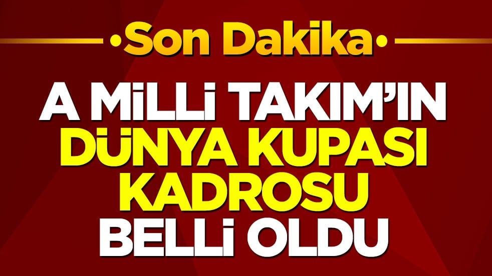 A Milli Takım'ın Dünya Kupası kadrosu belli oldu