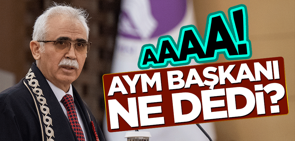 Aaaa, AYM Başkanı ne dedi?