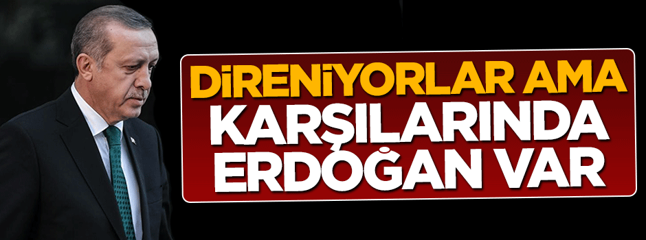 AB direniyor ama karşılarında Erdoğan var